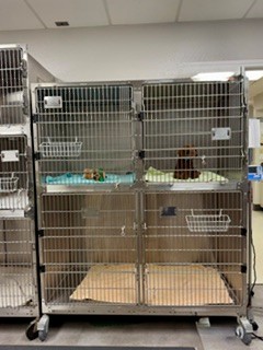 cage