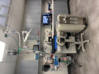 dental