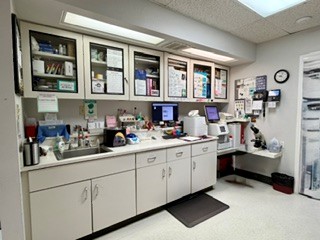 lab