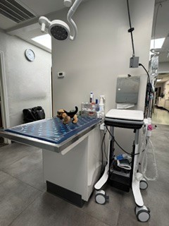 ultrasound