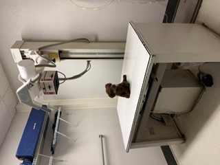 x-ray